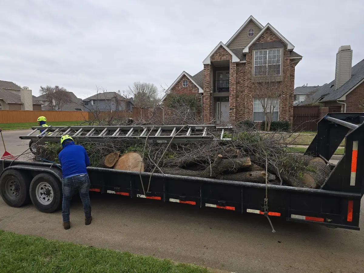 Expert Tree Fertilization with proper safety equipment in North Versailles